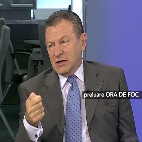 Radu Berceanu: PD-L a sacrificat voturi pentru a o ajuta pe Elena Băsescu