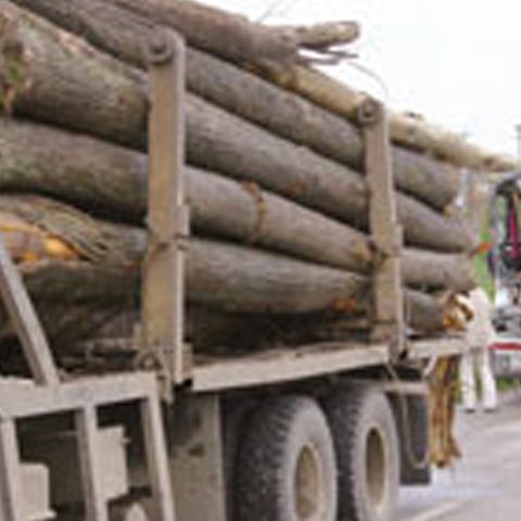 Traficul pe DN1 a fost blocat vineri dimineaţă, după ce un camion s-a răsturnat pe carosabil 