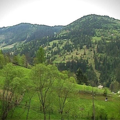 Drumeţie prin Apuseni