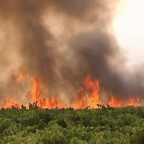 Un incendiu de proporţii a provocat pagube importante în Grecia