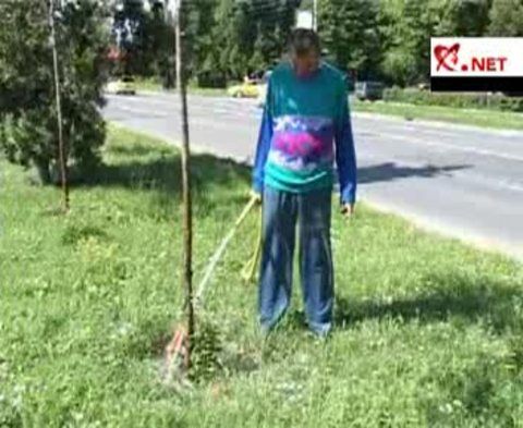Un an de festivităţi în Timişoara: 25.000 de euro pe zi pentru "Oraşul florilor" 