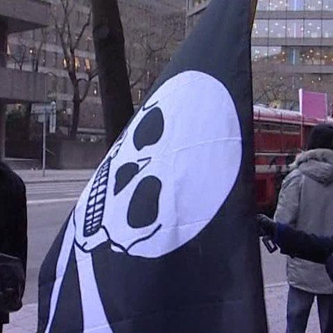 Partidul Piraţilor din Suedia a câştigat un mandat în Parlamentul European