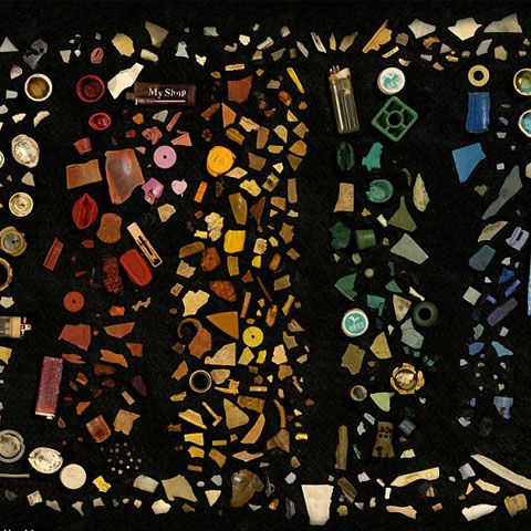 Un albatros a înghiţit o colecţie uimitoare de obiecte din plastic