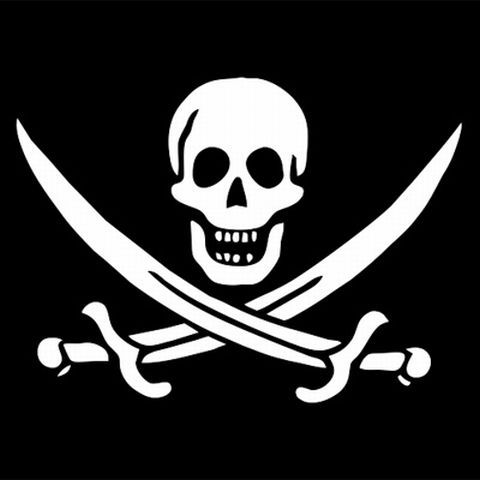 Peste 200 de programe de calculator fără licenţă, descoperite la Şantierul naval Daewoo Mangalia