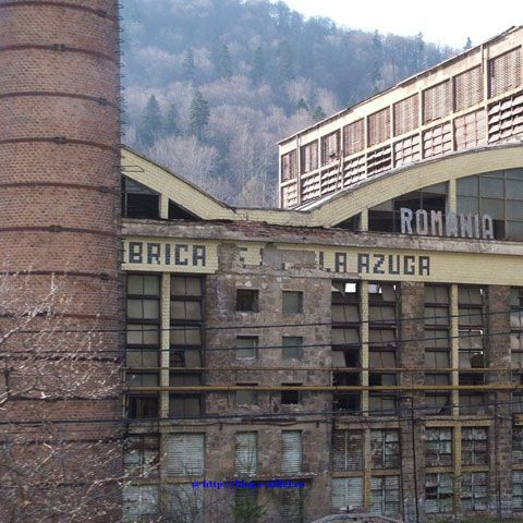 Bere Azuga îşi concediază salariaţii şi se transformă în firmă de imobiliare