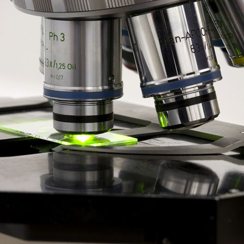 Grupul farmaceutic american Baxter va produce vaccinul împotriva virusului A (H1N1)