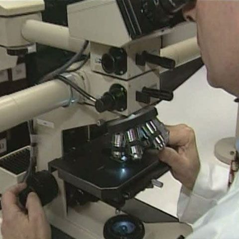 Cancerul ar putea fi vindecat prin analiza genetică a tumorilor