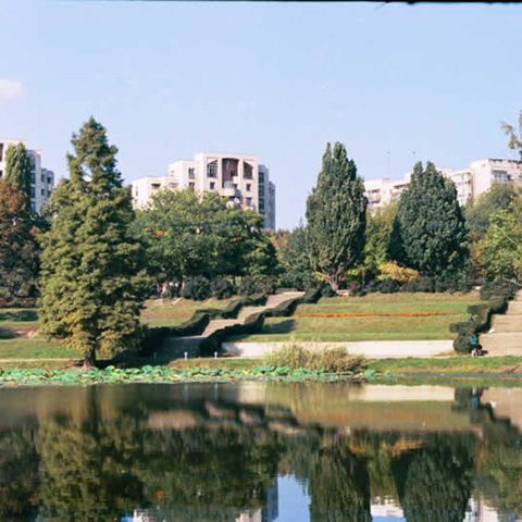 Peste 100 de persoane au protestat pentru salvarea Parcului Tineretului