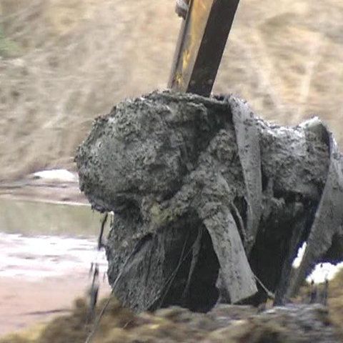 Deşeurile provenite de la fermele din Hunedoara poluează aerul şi solul