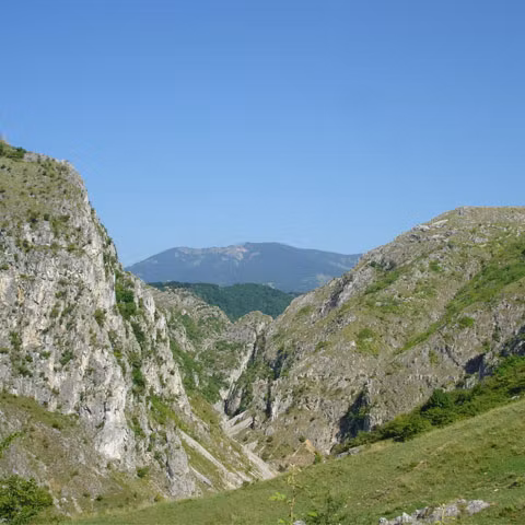 Proiect de peste 270.000 de euro pentru conservarea biodiversităţii din Cheile Sohodolului