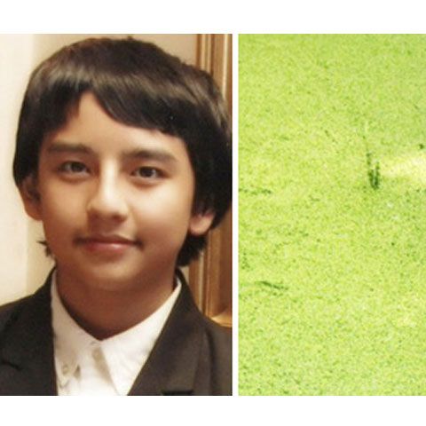 Un băiat de 15 ani a inventat un sistem ce produce energie pe bază de alge