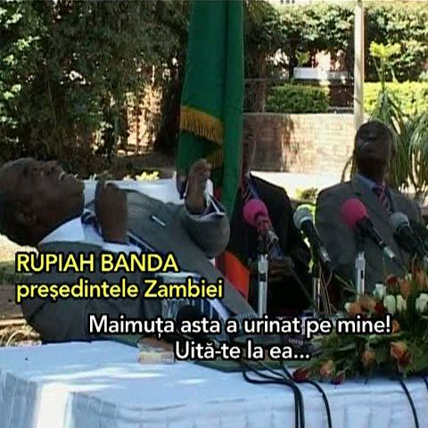 O maimuţă a urinat pe preşedintele Zambiei, în timpul unui discurs 
