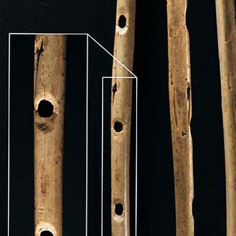 Fluier vechi de 35.000 de ani, găsit în Germania