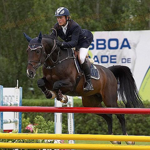 Un irlandez este bănuit că şi-a dopat calul cu care participa la Campionatele Germane de Echitaţie! Vezi aici de ce