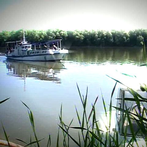 Balta Mică a Brăilei, un loc unde liniştea este tulburată doar de zborul egretelor