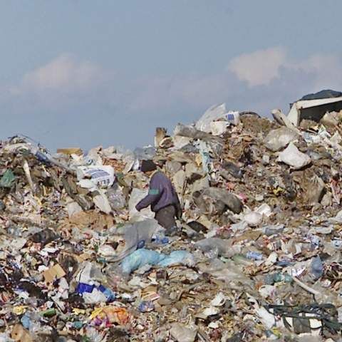 În Timişoara gunoiul se aruncă direct pe câmp pentru că nu există un loc special amenajat în acest sens