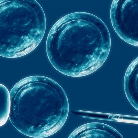 Ministerul Sănătăţii va înfiinţa, în Bucureşti, Registrul Naţional al Donatorilor de Celule Stem