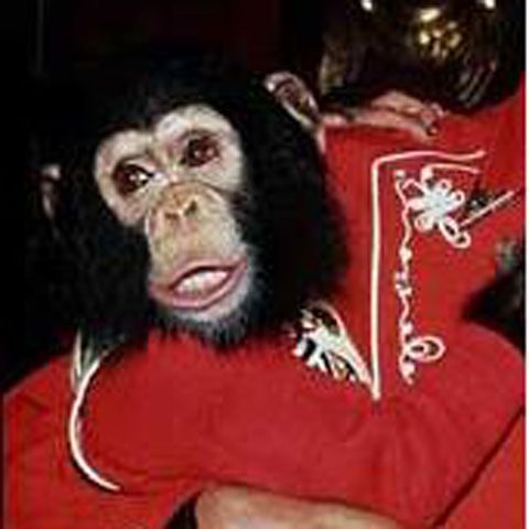 Moştenirea reprezentată de animalele lui Michael Jackson ridică noi probleme