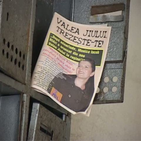 Valea Jiului a fost împânzită cu pliante împotriva ministrului Tineretului şi Sportului, Monica Iacob Ridzi 