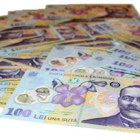 Salariile românilor nu vor creşte în 2009