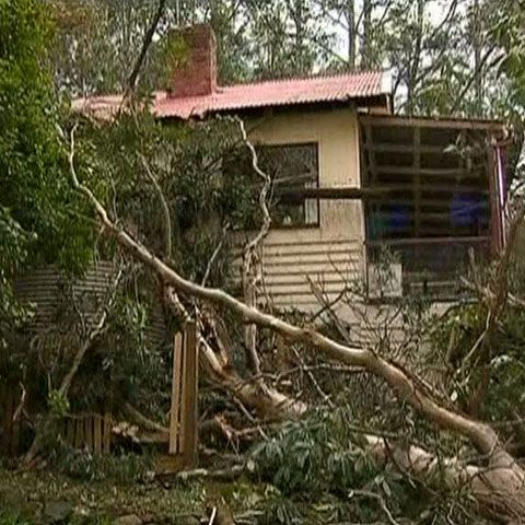 O femeie din statul Victoria, Australia, a murit strivită de un pom doborât de vânt