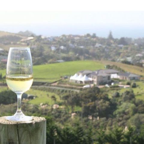 Casa Vinului la Făclia, un complex în care găseşti toate soiurile de vin românesc