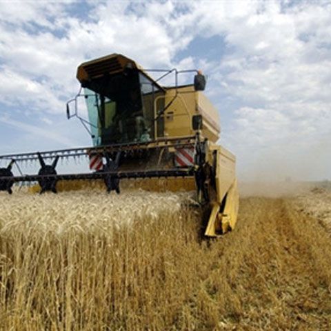 Pogea: Agricultorii vor putea garanta creditele cu certificate de depozit