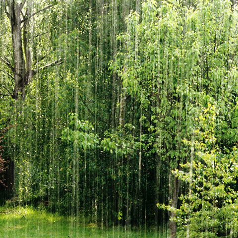 Un stâlp de electricitate a fost rupt de furtuna puternică din Bucureşti