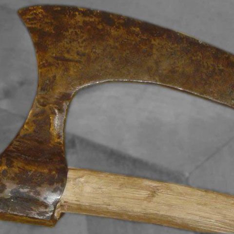 Un tânăr şi-a ucis profesorul de germană cu toporul după o ceartă despre tema de casă