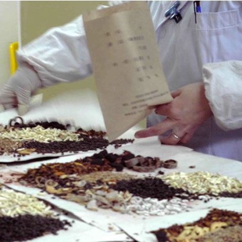 Autorităţile medicale din Beijing au afirmat că au reuşit să trateze gripa porcină cu ajutorul medicinei tradiţionale chineze