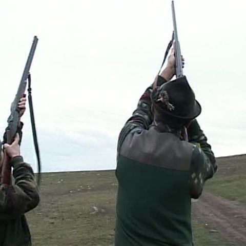 Vânătoarea a devenit neinteresantă din cauza taxelor prea mari