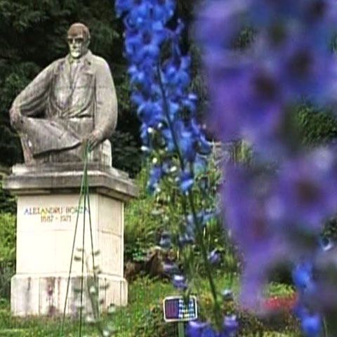 Grădina Botanică din Cluj numără peste 10.000 de specii de plante 