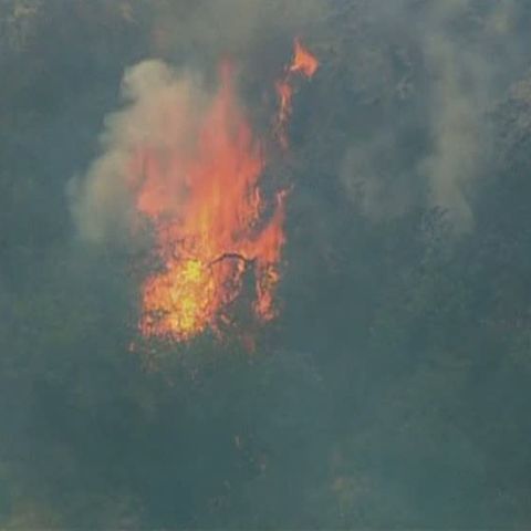 Un puternic incendiu ameninţă Santa Monica 