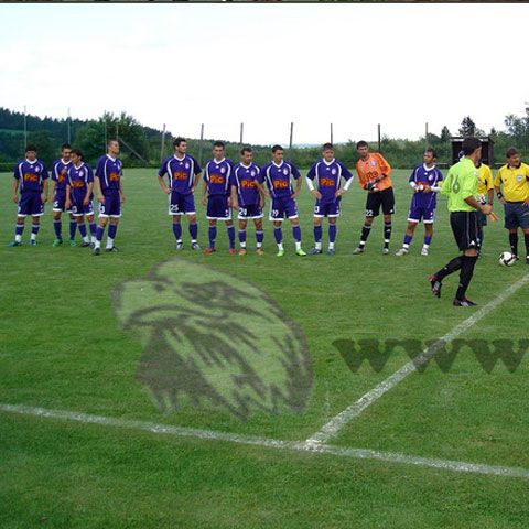 FC Argeş-AS Cannes 0-1, într-o partidă amicală desfăşurată în Austria