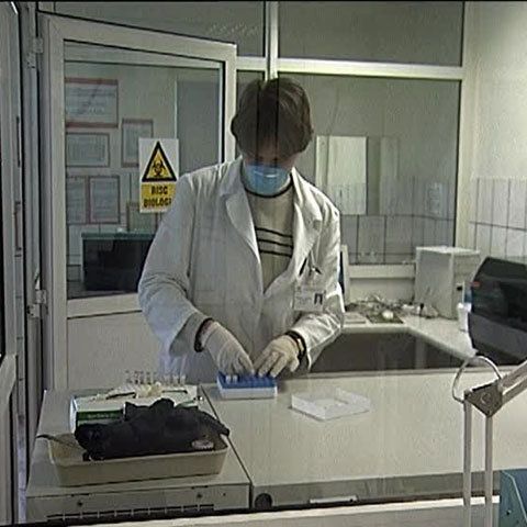 Institutul Cantacuzino a confirmat al 50-lea caz de gripă porcină la un bărbat din Mehedinţi