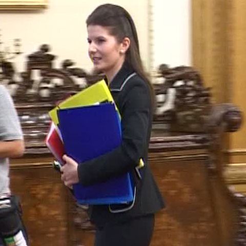 Cazul Ridzi mai trebuie să treacă prin comisia juridică şi plenul Camerei 