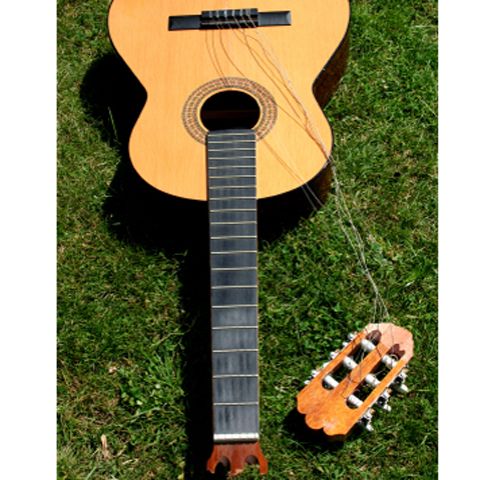 Un cântăreţ s-a răzbunat pe compania aeriană care i-a distrus chitara - VEZI ORIGINALA RĂZBUNARE