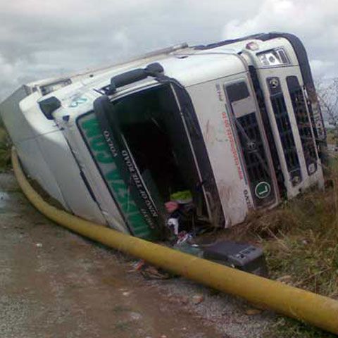 Mai multe cadavre de animale au căzut pe şosea dintr-un autovehicul, în Bistriţa-Năsăud