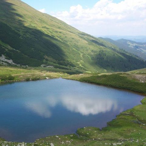  Amendă de 100.000 de lei pentru un drum construit ilegal în Parcul Naţional Munţii Rodnei 