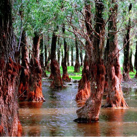 Taxa de acces în Delta Dunării instituită de Ministerul Mediului a fost suspendată