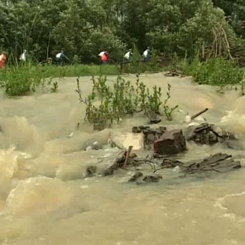 Furtunile fac ravagii în ţară