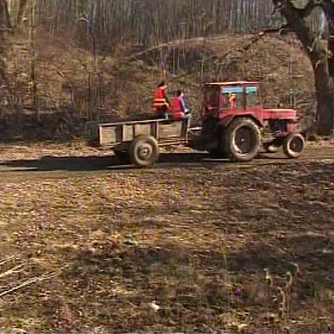 Ţiriac a renunţat la jumătate din fondul de vânătoare de la Balc