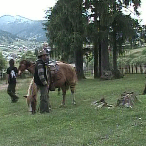 Mai multe pensiuni din Bucovina oferă plimbări călare prin munţi