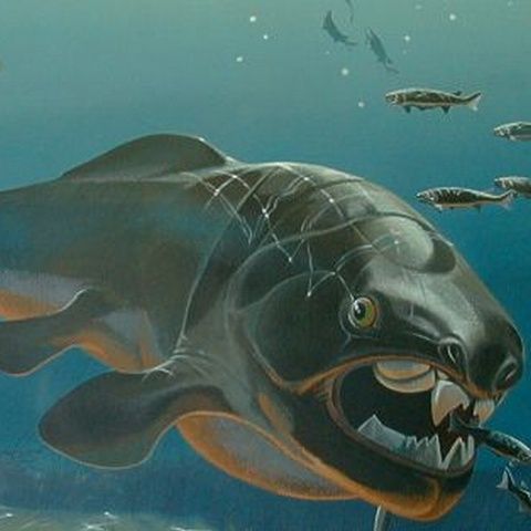 Cercetătorii au găsit cel mai vechi penis din lume