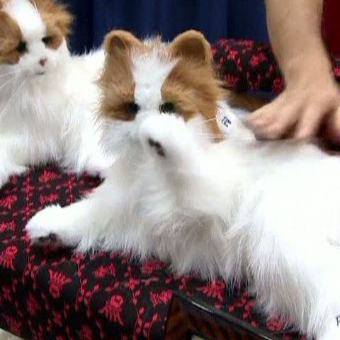 Noile tehnologii, omniprezente la Târgul Internaţional de Jucării de la Tokyo