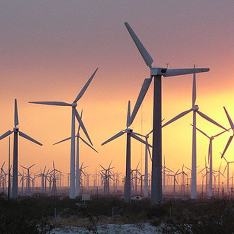 Green Energy şi-a amânat proiectul parcului eolian de 200MW din Tulcea, din cauza legislaţiei