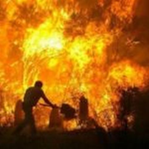 O persoană a murit şi 5.000 de hectare au fost distruse în Spania în urma unui incendiu