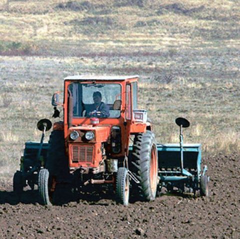 Ilie Sârbu:Fermierii ar putea primi un avans de 70% din plăţile pe suprafaţă pentru 2009, în toamnă