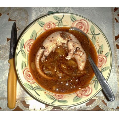 Pangolinul, o specie ameninţată ce este servită la masă în Asia 