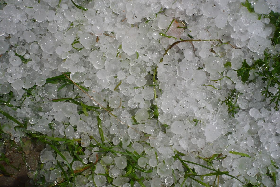 Covor alb de grindină, în Capu Codrului